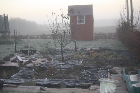 The garden on a foggy morning in December. 