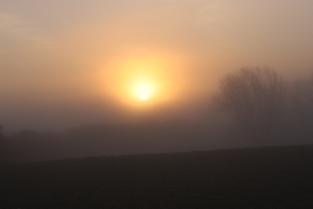 Early morning fog in Sheepwalk.