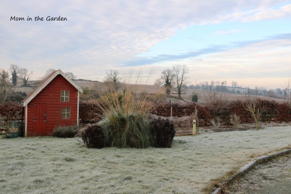 Frosty January view of playhouse