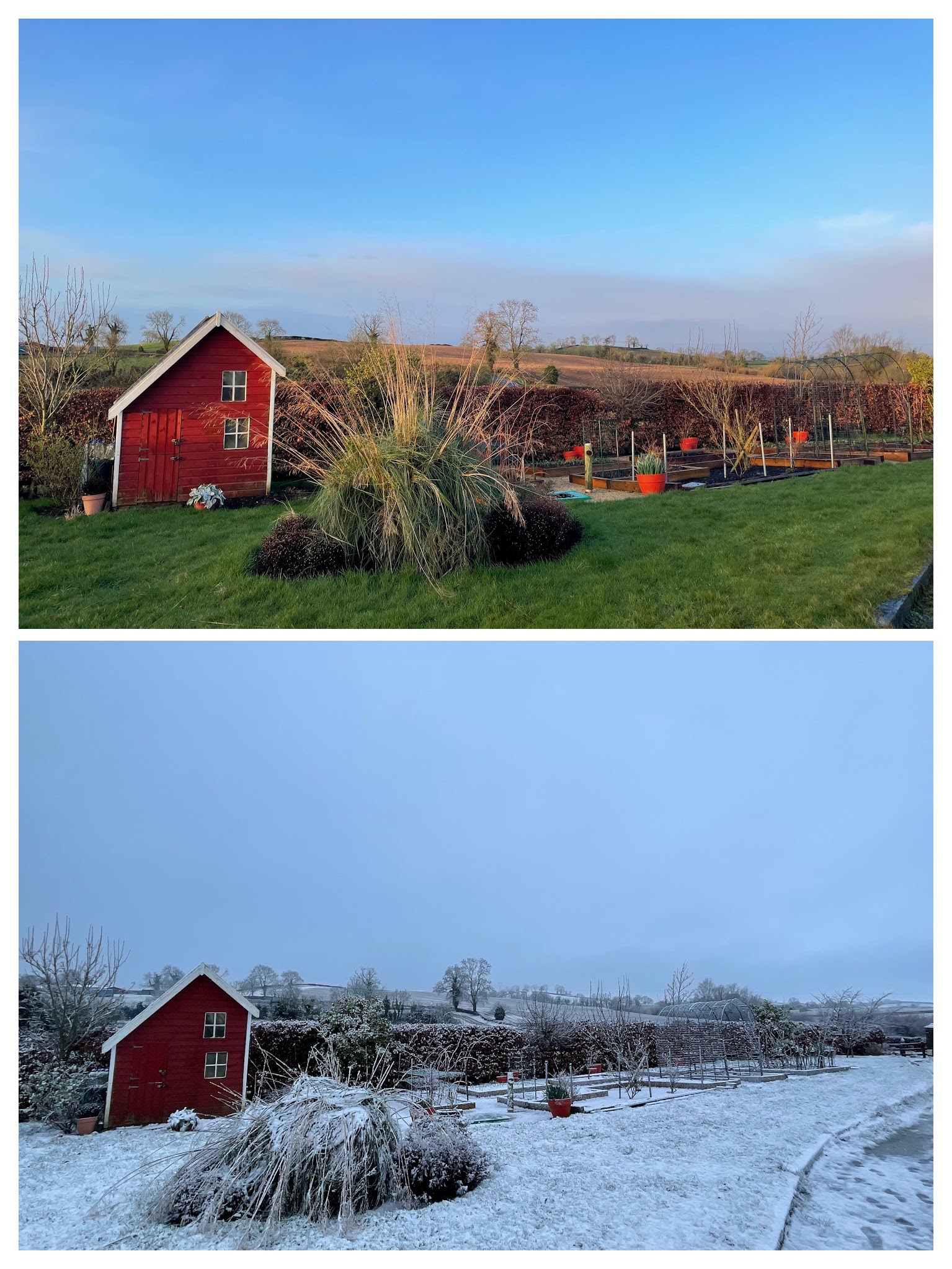View of the garden with and without snow.