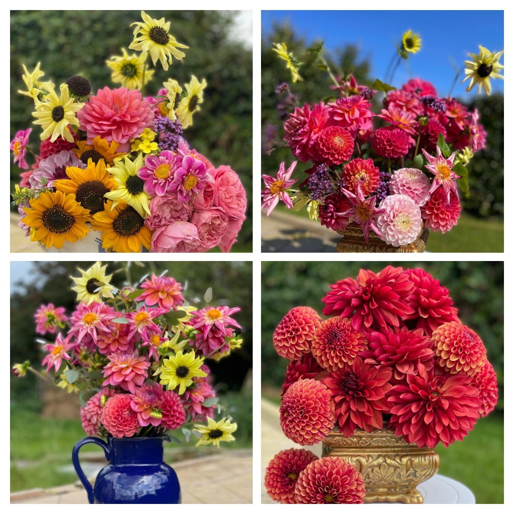 collage of different flower arrangements using dahlias, sunflowers and roses from the garden